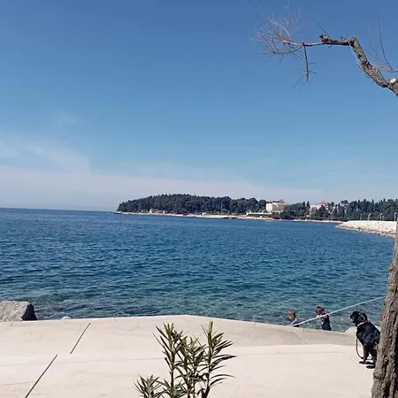 Apartment Angela Rovinj