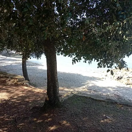 Apartament Angela *