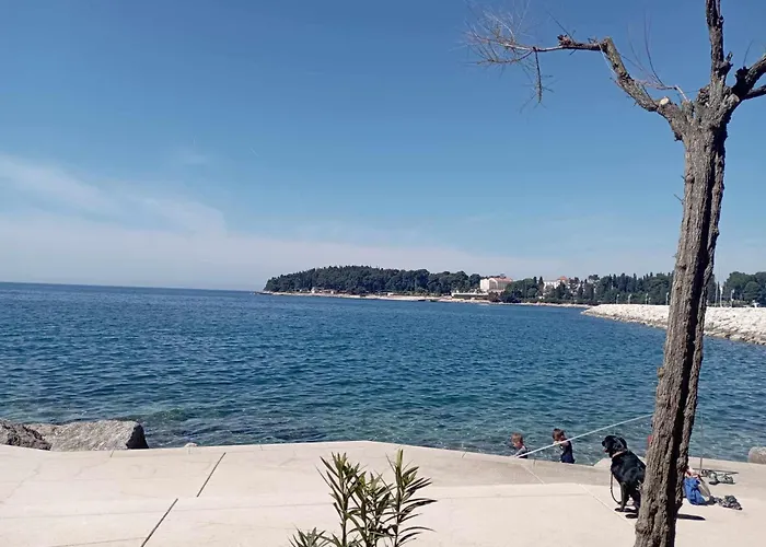 Διαμέρισμα Angela Ρόβινι