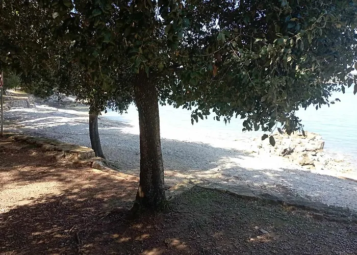 Διαμέρισμα Angela *